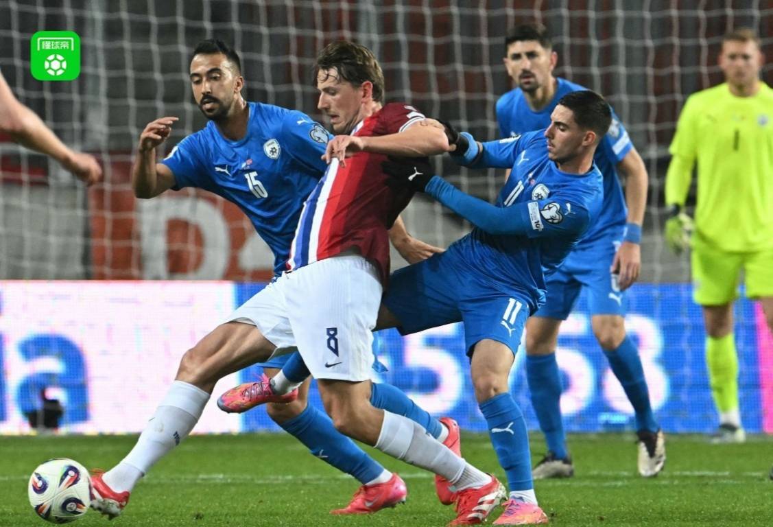 挪威队在欧洲杯预选赛小组赛中成功晋级