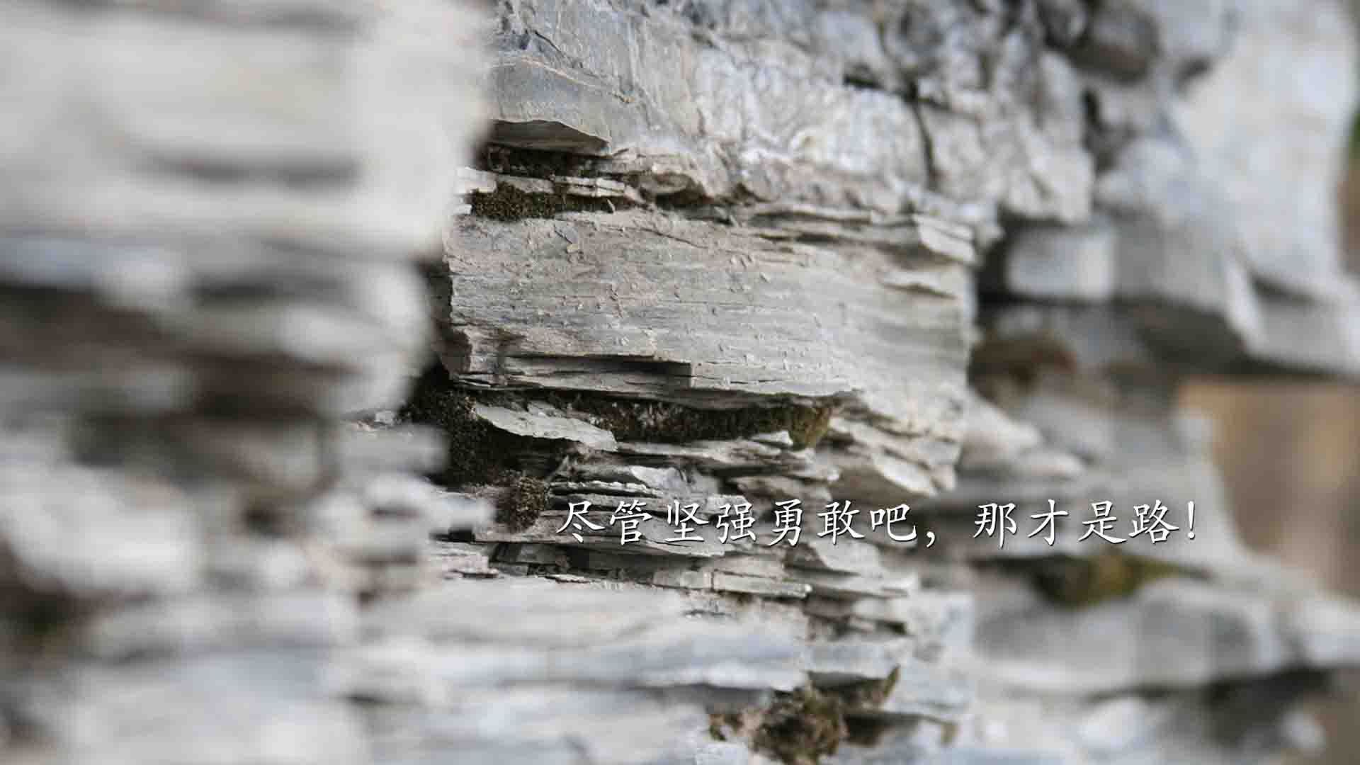 不只是得分手!掘金对阵马刺一役,布克的表现堪称现代双能卫的完美模板