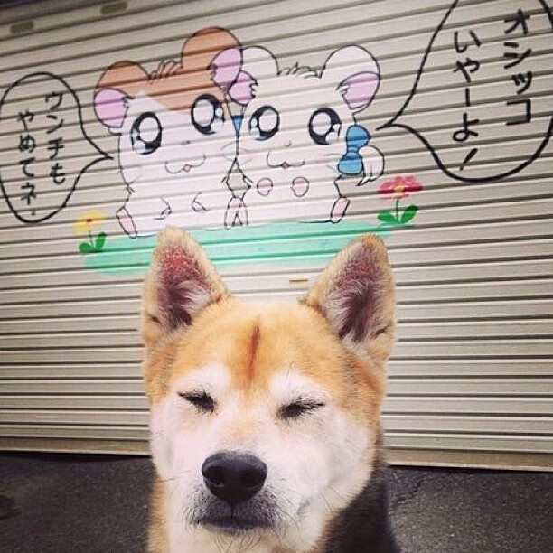 新王登基，阿尔瓦雷斯圣西罗首秀，三箭射落德国战车