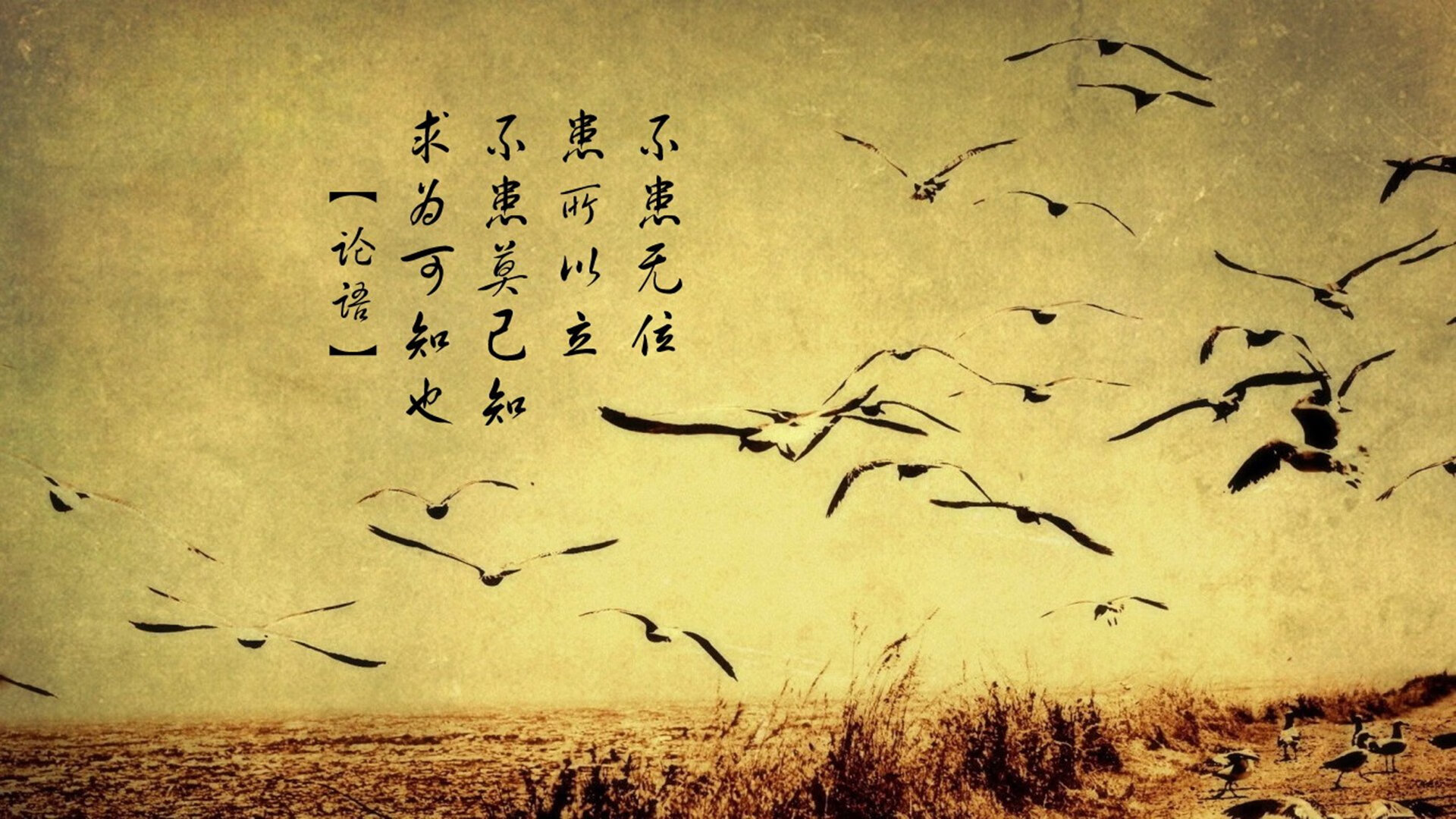 手术刀与三分箭雨,杰伦·格林七连击撕裂的,何止是对手的防线?